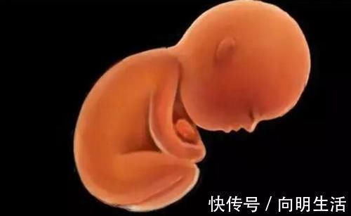 发育|孕期若出现这几种表现，很可能是胎儿宫内缺氧的信号，孕妇要重视