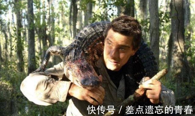 部队|“贝爷”跟“德爷”谁更厉害你看他们服役的部队是哪一支