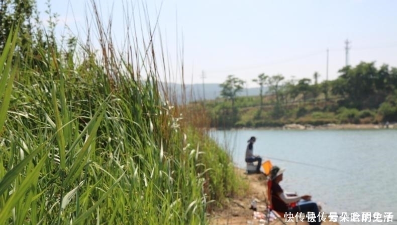 钓友们|野钓大鱼进窝后,这三件事千万别做