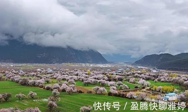 林芝|沿着318，去波密，寻找云端上的桃花源，看全世界最美的桃花