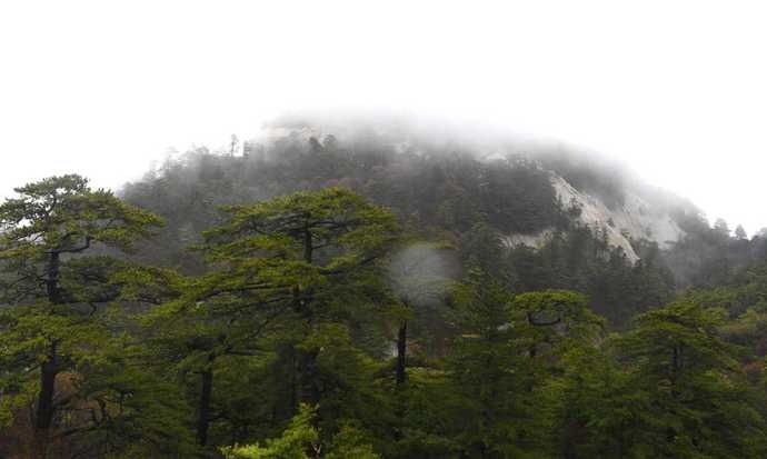 雨中看别样华山