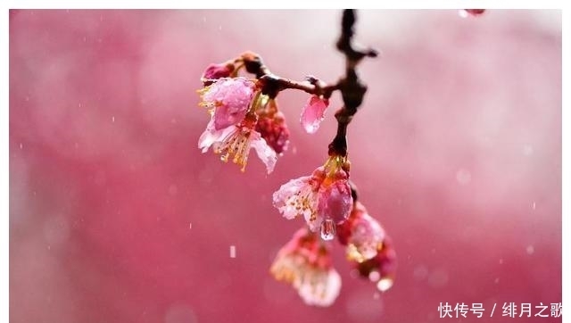 财大气粗|6月9日-6月30日好运突然降临，财大气粗有钱有势的三大星座