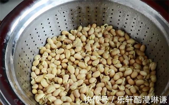 想吃|在家发豆芽原来那么简单,教你一招,想吃豆芽不用上街买了