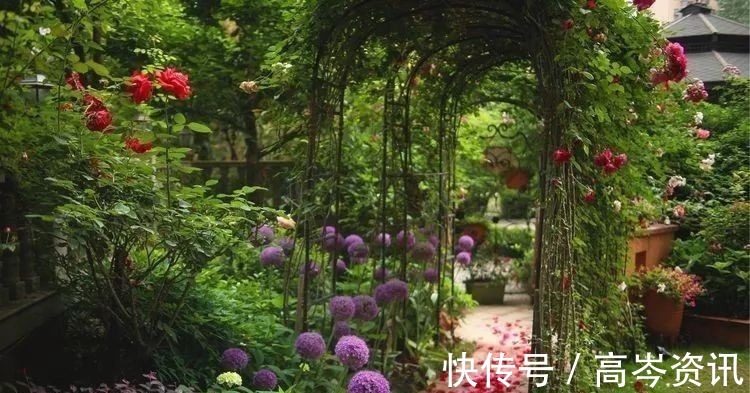 小区|坐拥270㎡大院子,她如何用五年时间,打造成了全小区最美的花园