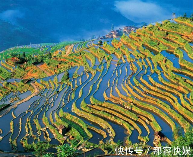 长寿之王|他是中国长寿之王,终身未娶活到133岁,生前唯一爱好却不太健康