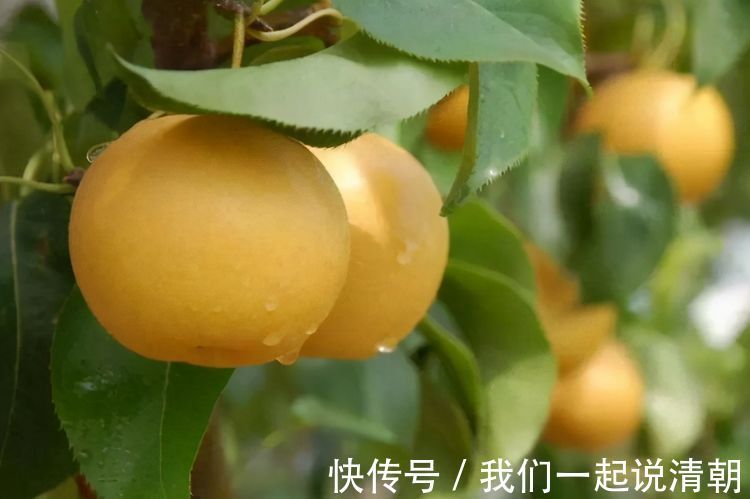 有光泽|女性不想满脸皱纹，可以多吃3种食物，补益气血，皮肤红润有光泽