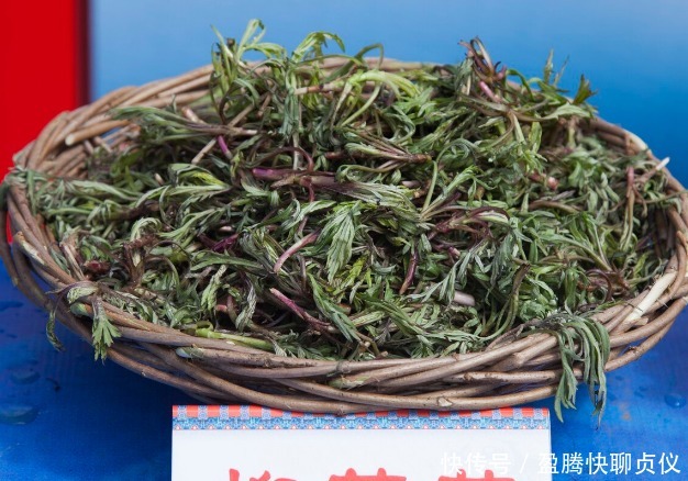 春天里最好吃的9种野菜，再不吃，过了这个月，就要等一年才能有