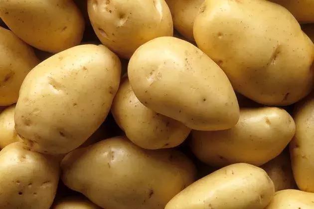 减肥|9种好吃不发胖的食物,送给正在减肥的你,轻松吃出好身材