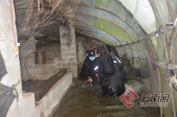 来袭|特大暴雨来袭！云南畹町边检站紧急抢险救灾