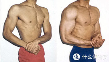 训练者|自然状态下能增长多少肌肉?肌肉增长的速度有多快?