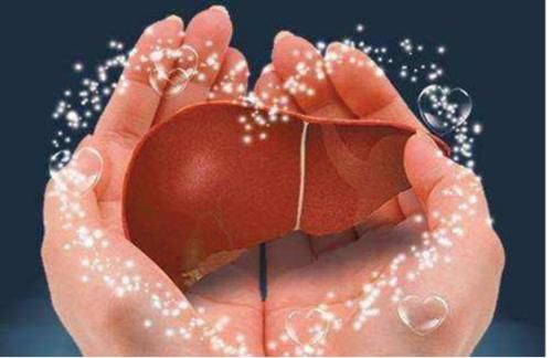 苹果|早晨是养肝“黄金期”，以下3种早餐，常吃有利于肝脏健康