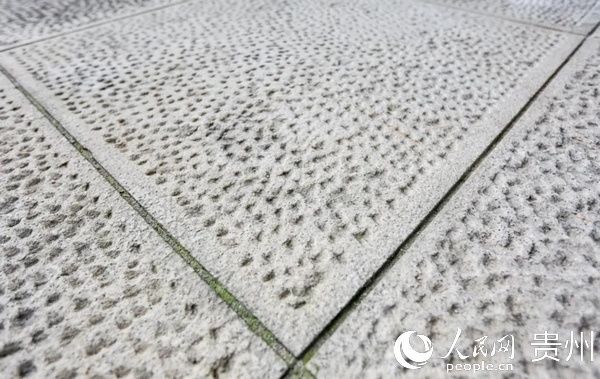 海豚|工程师们为她铺设“海水通道” 海豚广场即将揭开神秘面纱