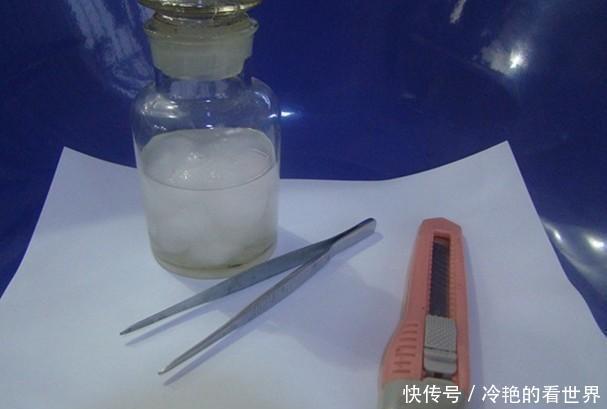 原来蟹爪兰要这样嫁接,难怪别人家的蟹爪兰开花那么多