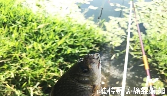 新手钓友牢记钓鱼7忌,虽然不能助你多钓鱼,但也能不让你放炮