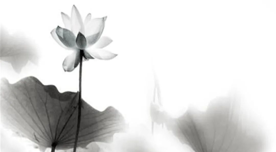 时位@易经:学习易经,能够做到这3点,说明你真的读懂了