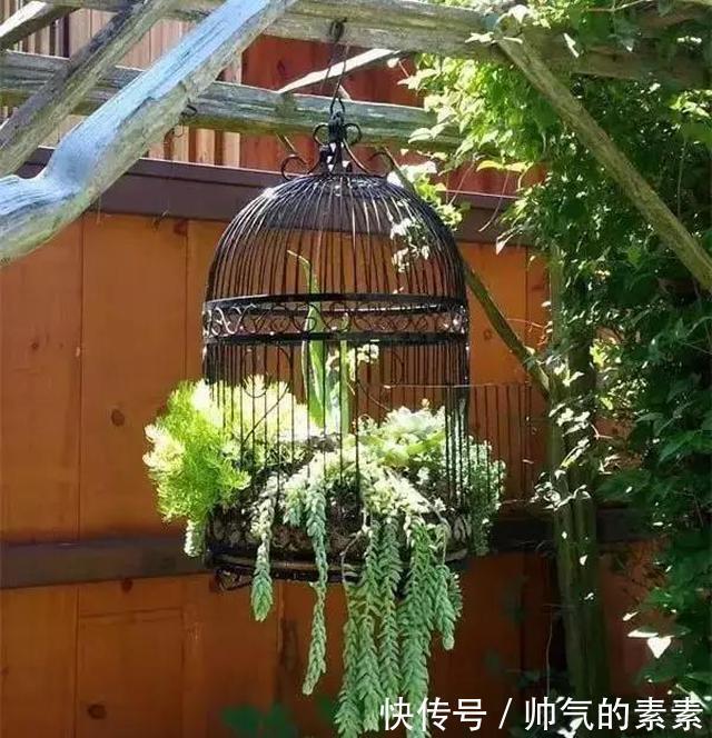 只要脑洞够，万物皆可花盆