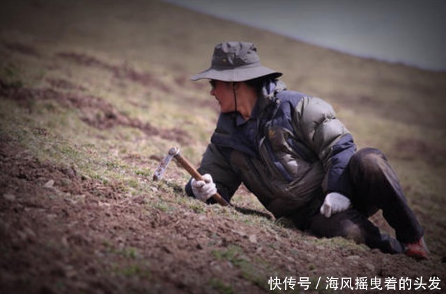 “冬虫夏草”到底是动物，还是植物？看完你就