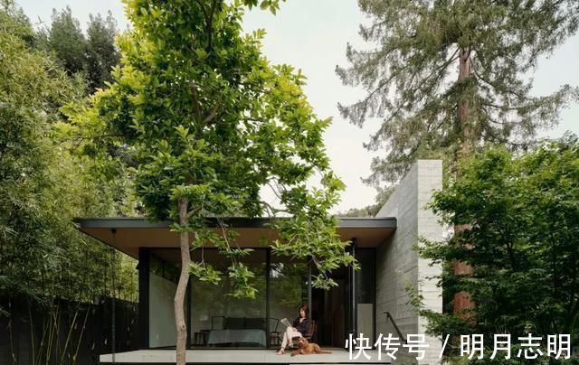 玻璃窗|农村最划算的自建房设计,外观时尚大气,比城市的豪宅还好看