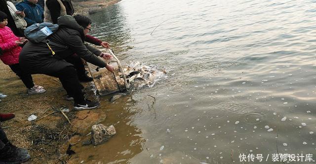 前脚放生鱼入水,后脚钓友下杆垂钓!垂钓者:我这是保护环境