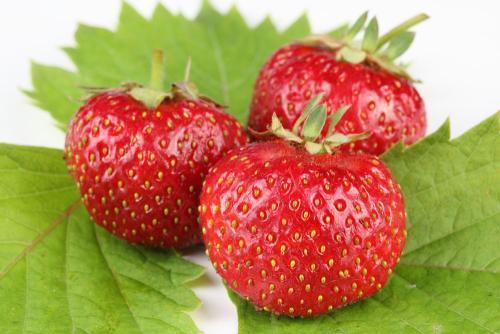 芒果|女性常吃此几种水果,排毒养颜,清肠胃抵抗衰老,身材越来越好