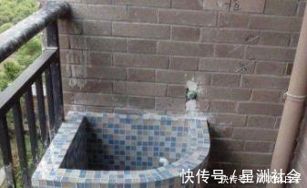 拖桶|越来越多人在阳台装这个,一问才知好处还真不少,懊悔知道晚了!