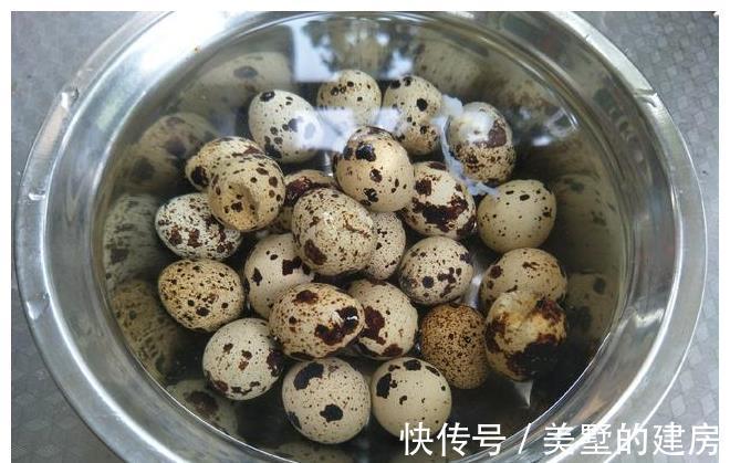 鹌鹑蛋|立秋后,1种鸟蛋要多吃,醇香入味更营养,滋补防燥家人爱