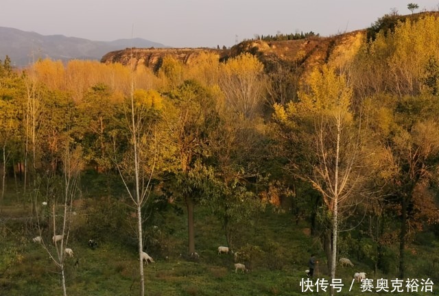 老人|水磨沟，从皇城根儿到荒凉村落，留守老人说沟里藏着许多故事