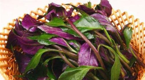 对身体极好的食物，坚持常吃，刮油消脂，营养瘦身，越吃越年轻