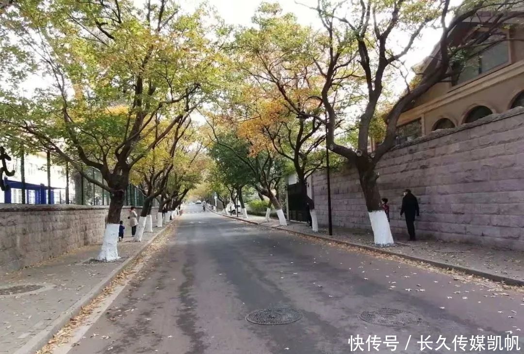  路枫|嘉峪关路枫之情