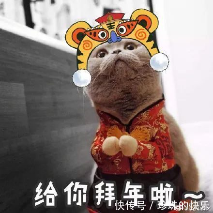 拜年|必存!新年拜年表情包丨第310期热门表情包