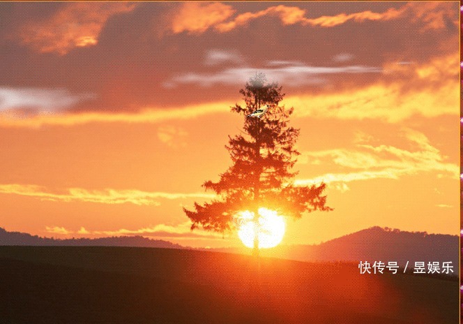 《这个冬月不再冷》作者:梦之蓝 主播:读你