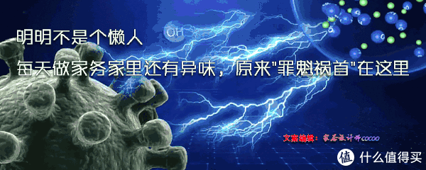 懒人|明明不是个懒人，每天打扫家里还有异味，原来“罪魁祸首”在这里