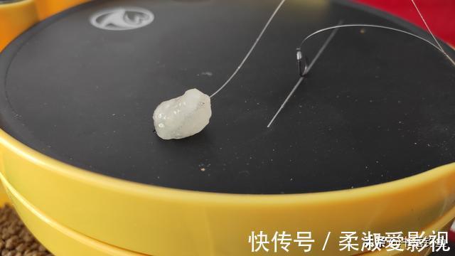 钓了一场鱼结果被判刑！钓友一脸问号？我是犯了什么罪？什么情况