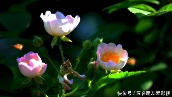 吃饭|“酒是穿肠药,色是刮骨刀”,3种酒局,就算关系再好也不要去