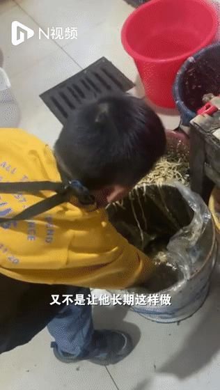 粪桶|“妈妈，我不想学习了！”这位妈妈的回答，让无数父母震惊羞愧