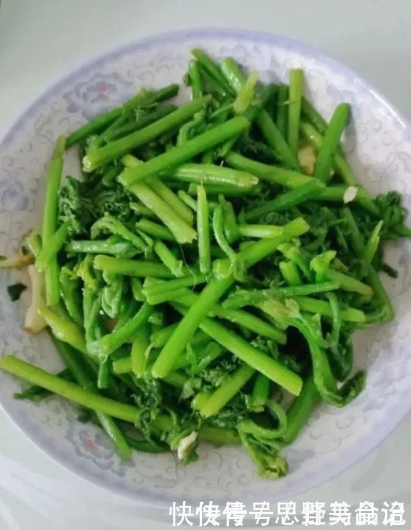 小蛮腰|某菜是个宝,隔三差五吃,排湿安眠,可惜很多人都扔了