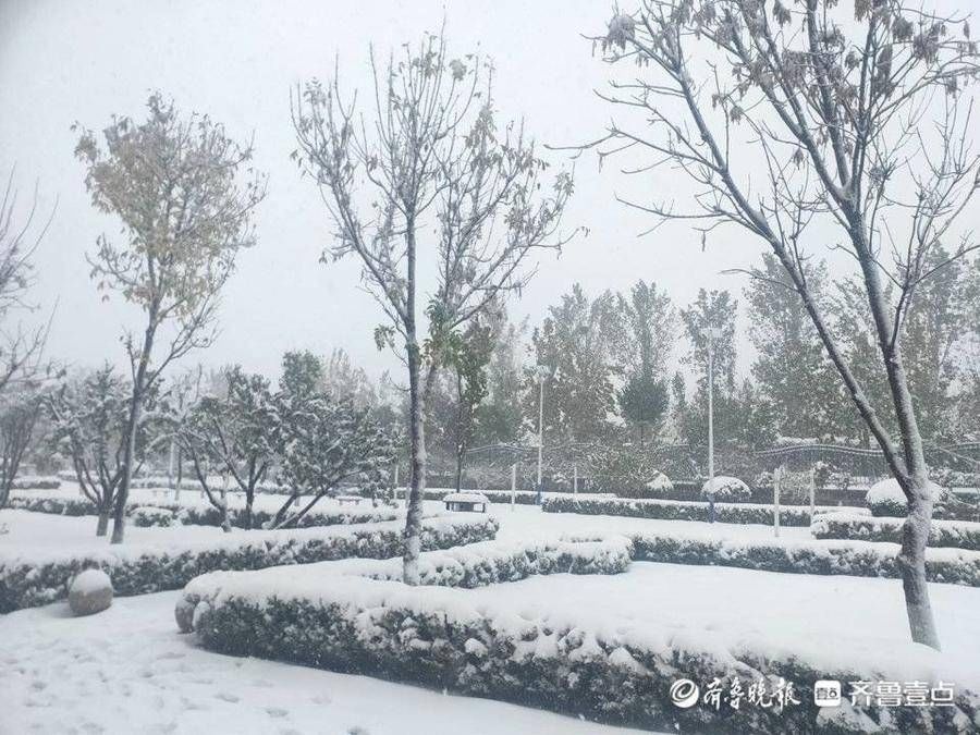 济南工程职业技术学院|暴风雪下的驻济大学生：校园里肆无忌惮滚雪球，那是我们的青春啊