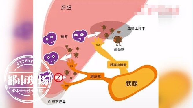 内分泌科|女子每天睡10个小时还不够，原因不简单