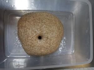 减肥党解口馋?全麦无糖列巴你这么做,不怕你不上瘾