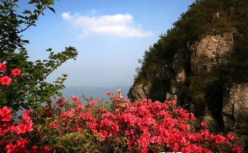 灵山春游季胜日寻春无觅处，锦绣灵山满庭芳