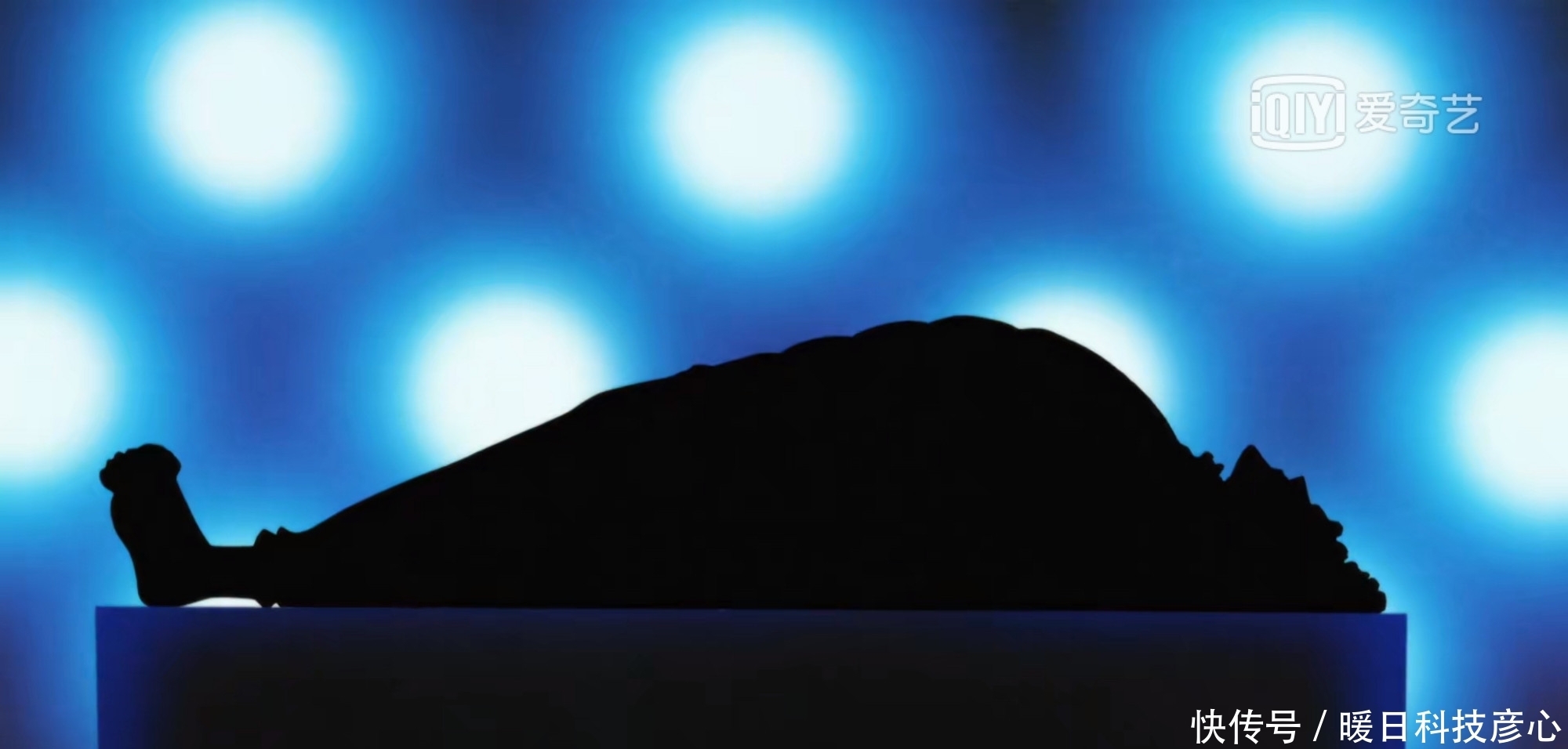 海贼王：暴君熊的实力如何？能否与大将一战？一个细节可说明