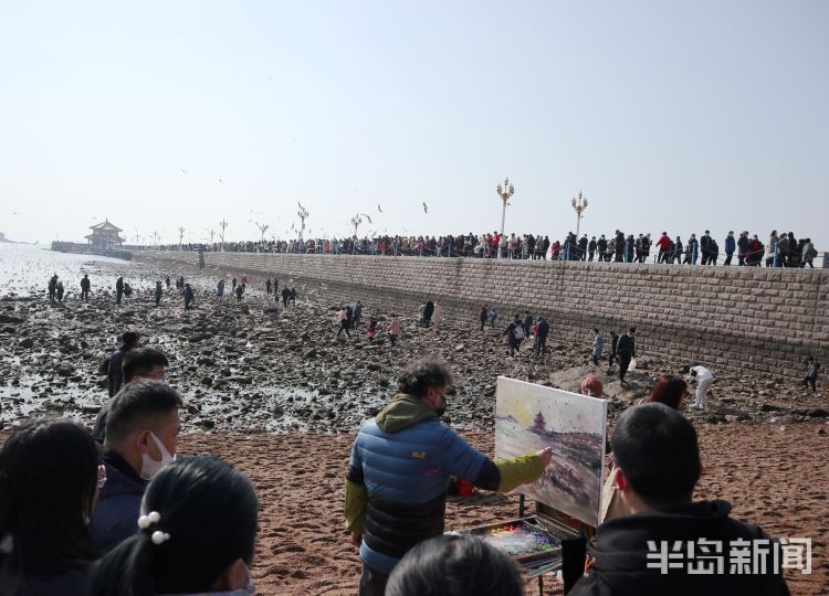 人潮鸥海入画来|显微镜 |人潮鸥海入画来\＂,\＂i12\＂:\＂显微镜