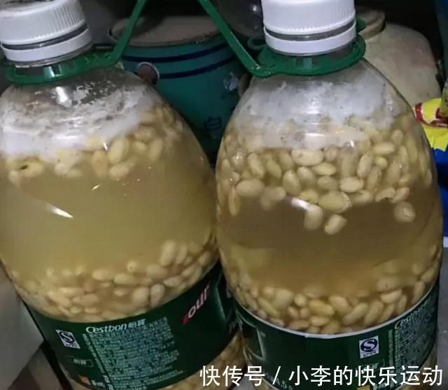 兰花花期实在长得慢?老花匠教你一招,让它30天内就开爆盆