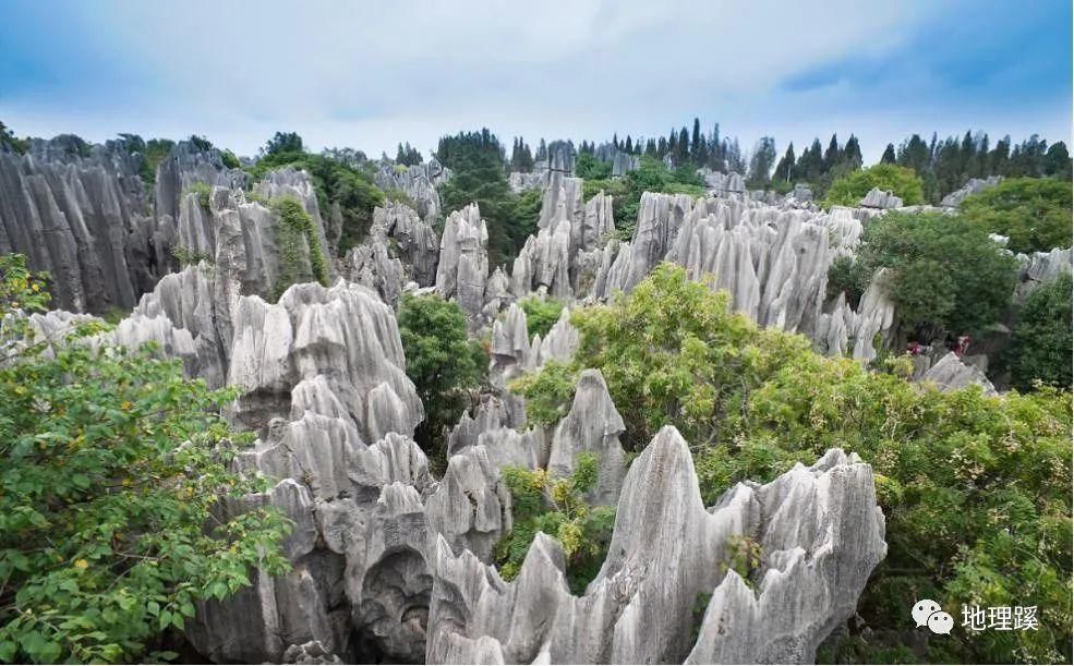 小石林|人间有胜景，最美在云南（上篇）