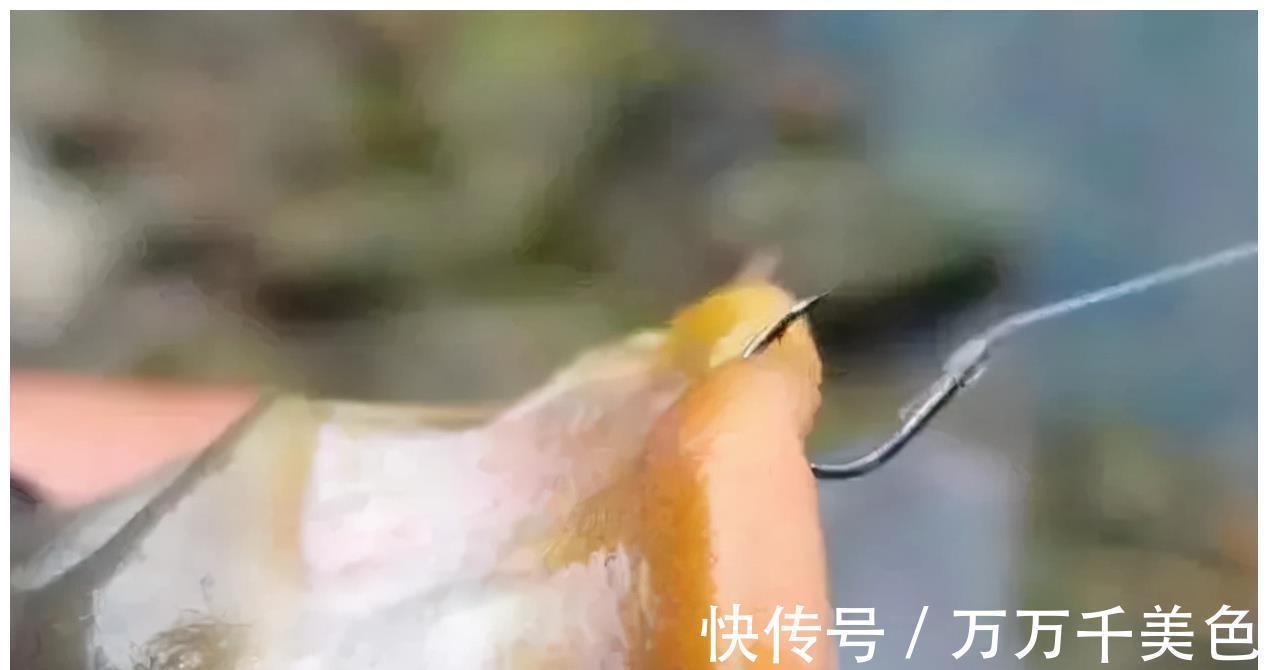 能掌握这6个基本规律，就走出了新手圈，渔获翻倍都有可能