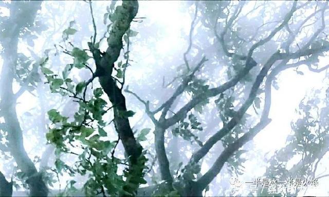 秋日|散文诗秋日小语