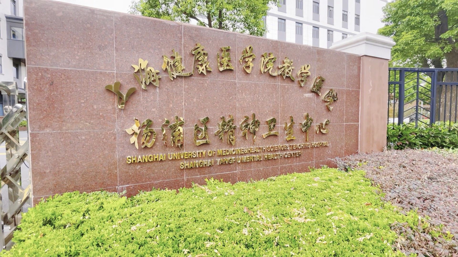 科普|小丸子睡不着①别恋床，去恋爱！