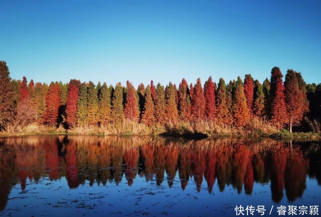 广西科师“拍了拍”你，并送上家乡美景