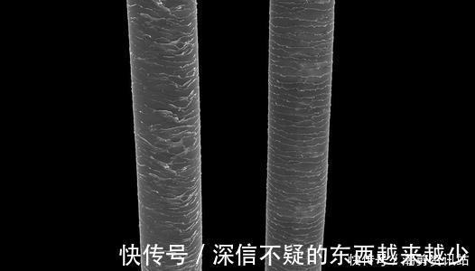 护发|潮剪秘籍丨烫完的头发像干草?事后护理很重要!