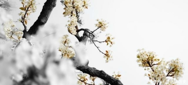 佳节|辛弃疾最经典的一首词，通篇更是充满哲理，最后几句令人恍然大悟